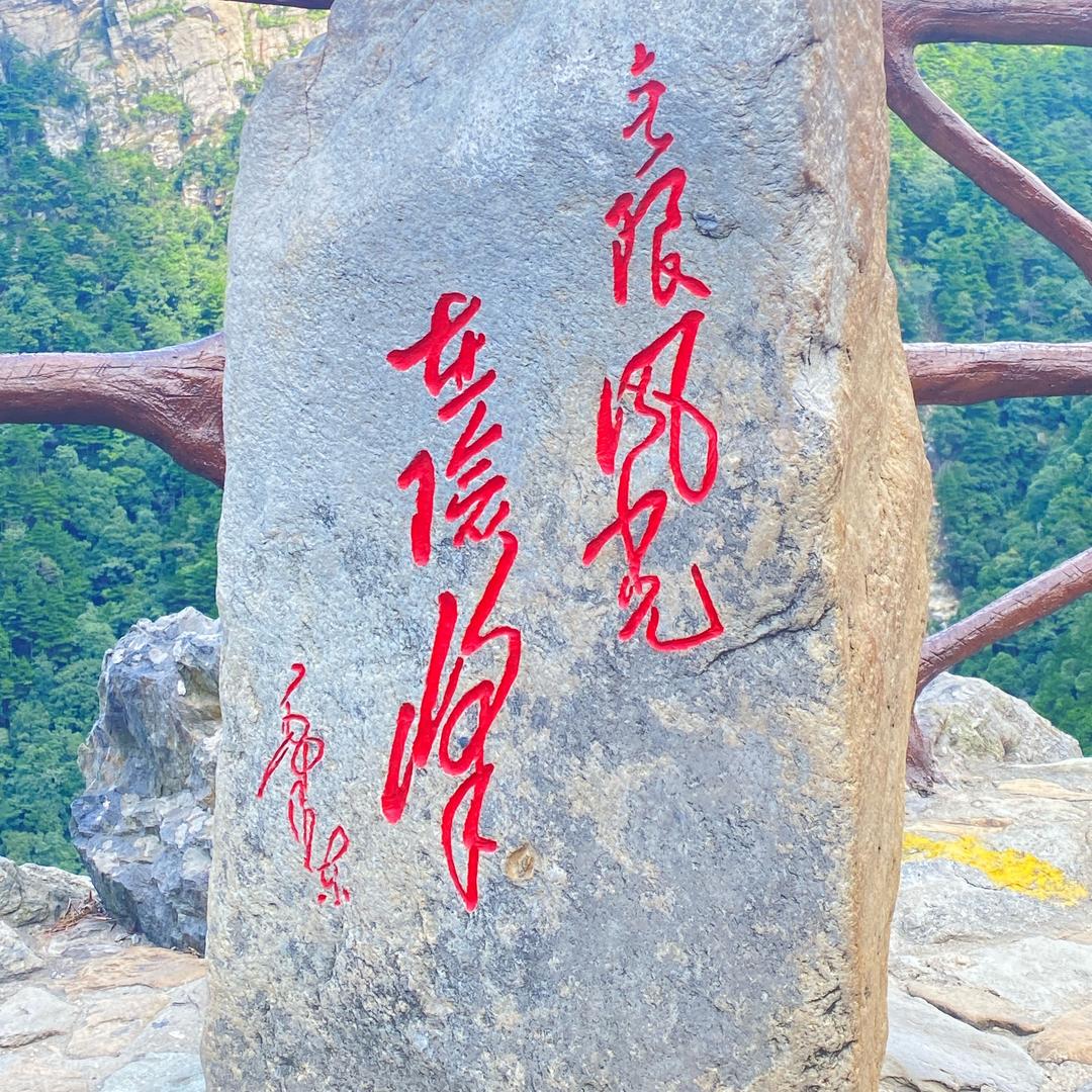 为左停刘