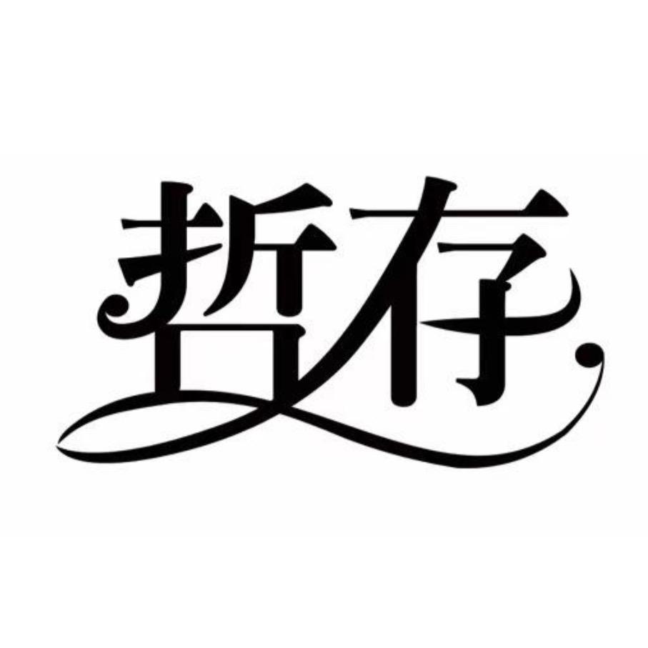 哲存国际贸易食品色素/染料