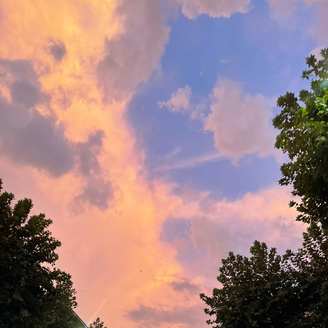 王爷记得吃早饭（陈帮主）