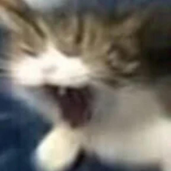 顾饮少