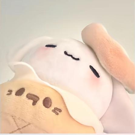 呆小布