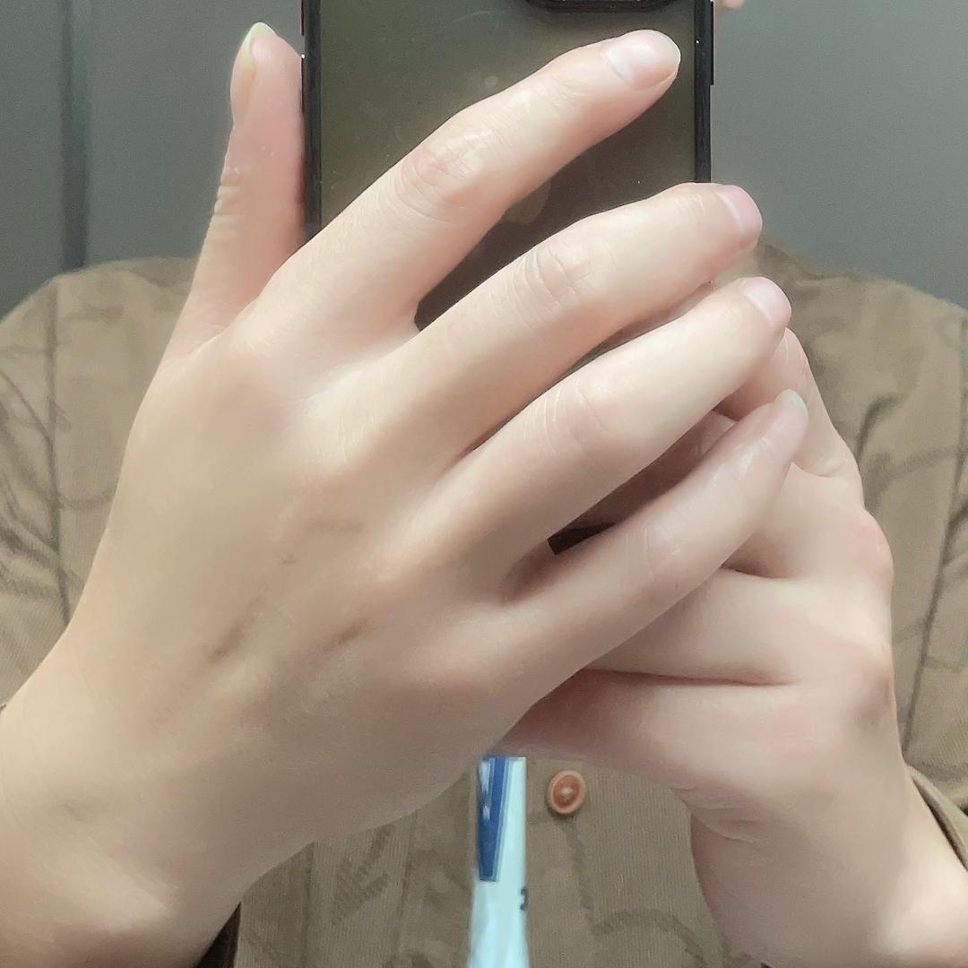 萧歌