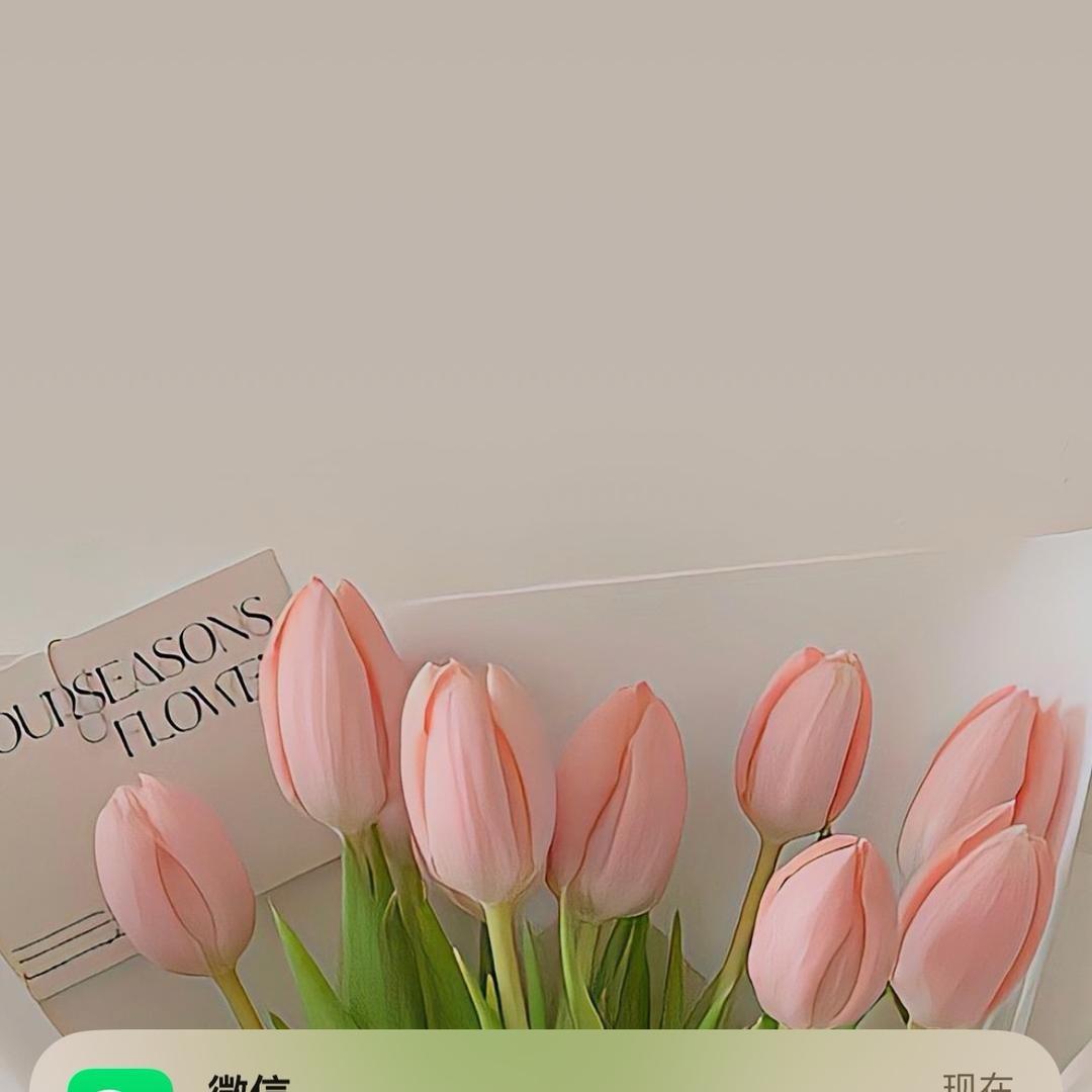 🌸桃子姐姐🌸