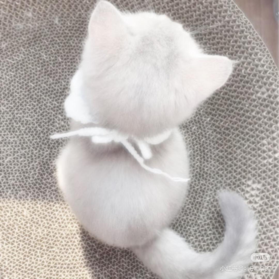 被女人骂就当谈恋爱了