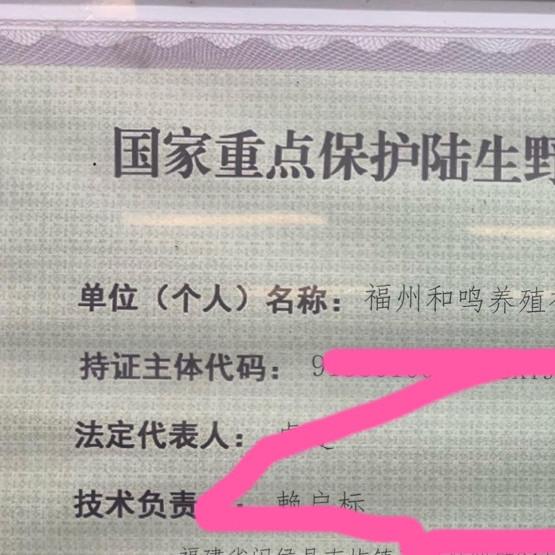 福州和鸣养殖有限公司（鹉哥）