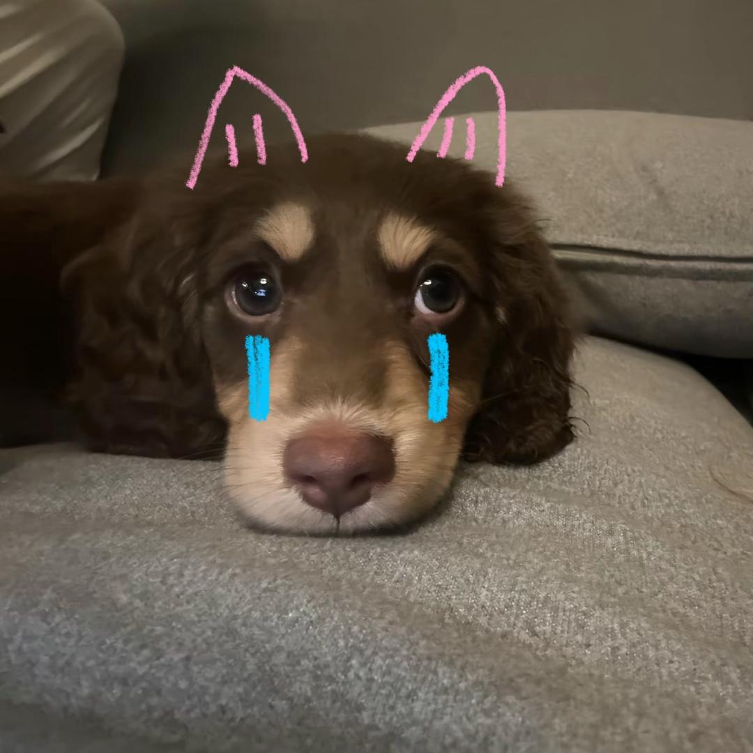擅长憋尿