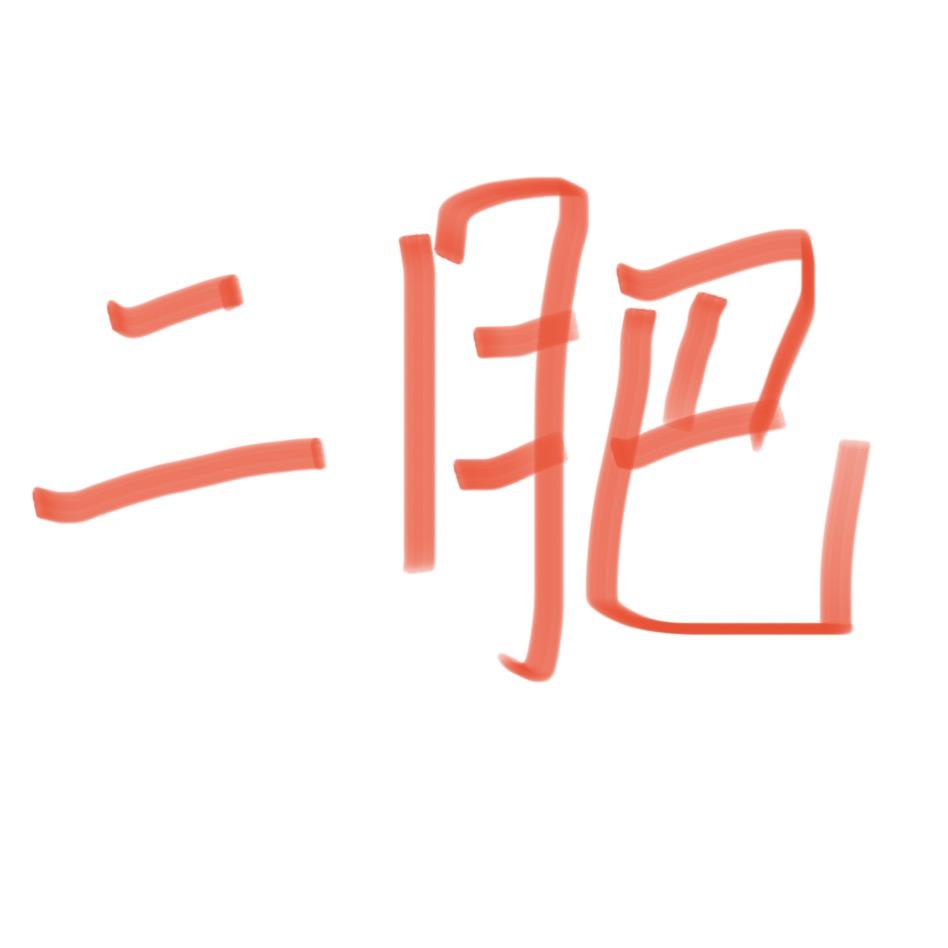 二肥洗车美容官方号