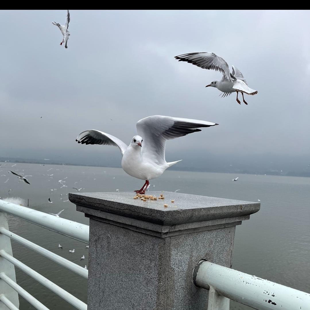 友友爱生活