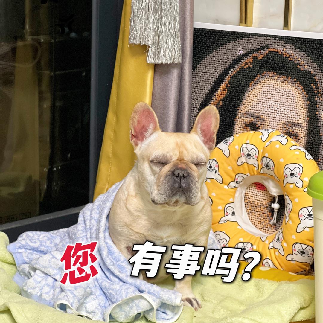 细节怪