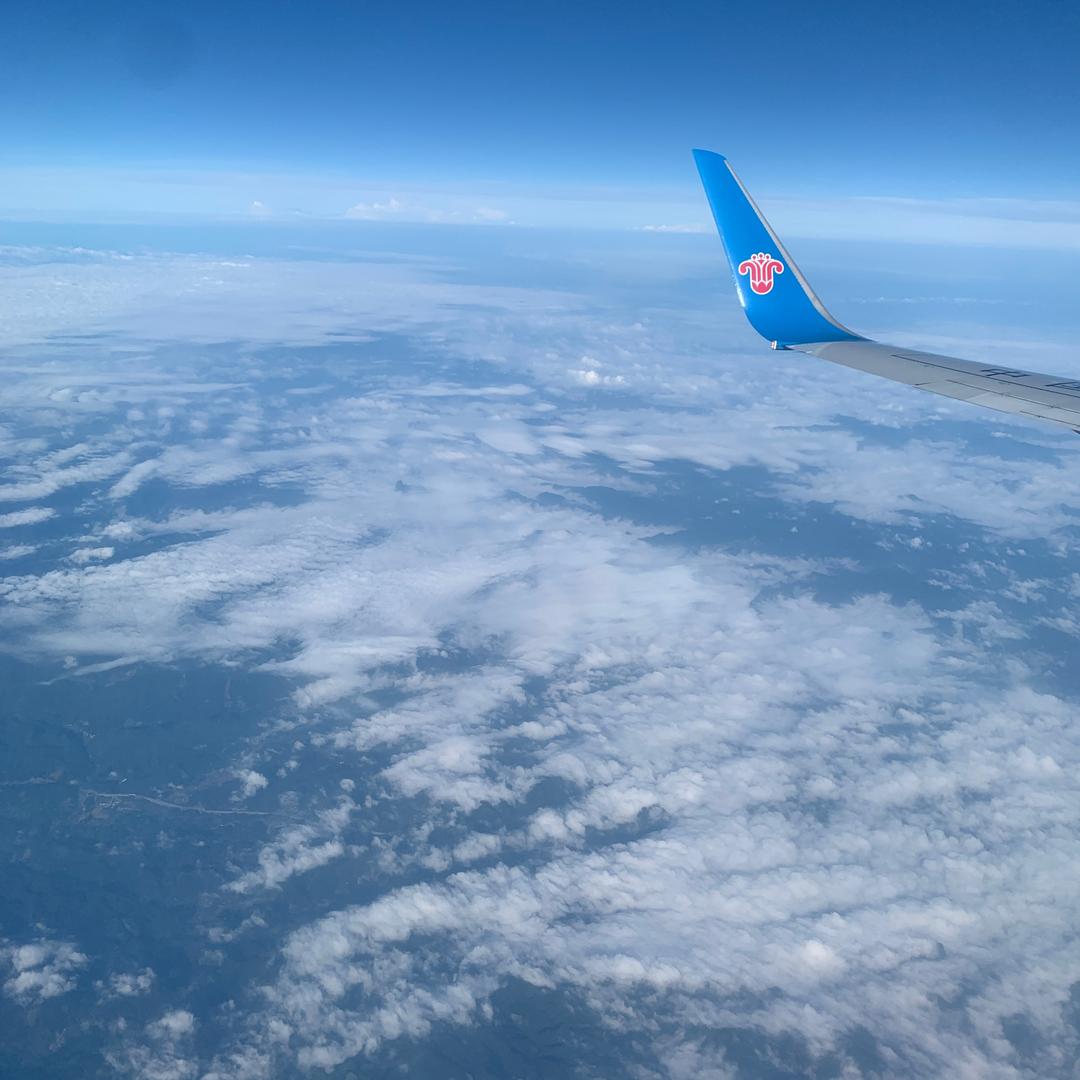 大锅饭里的锅包肉