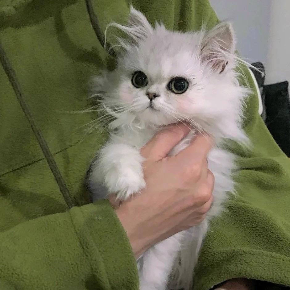 可樂