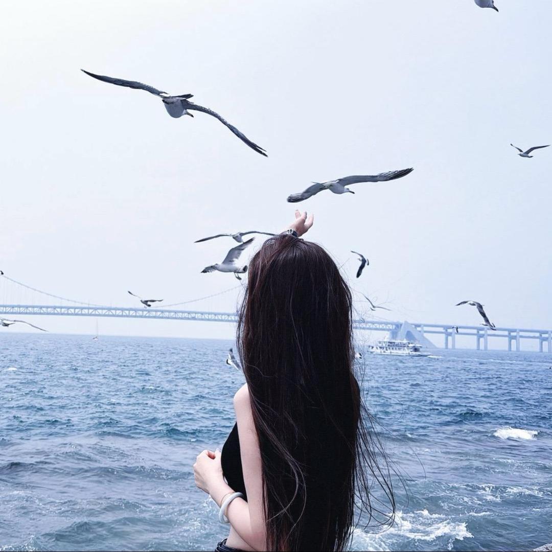 🕊️