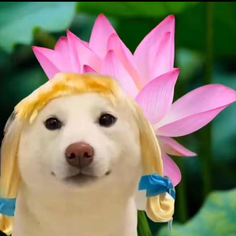 苗总锵