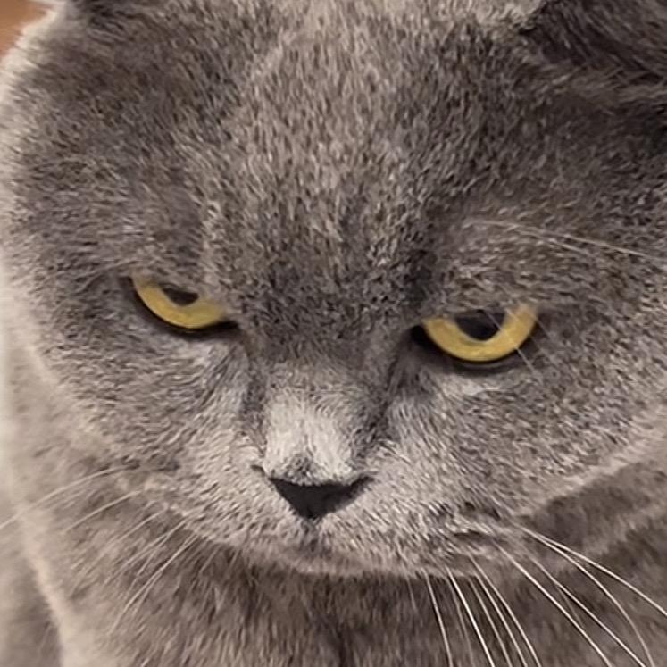 灰灰的健身周记