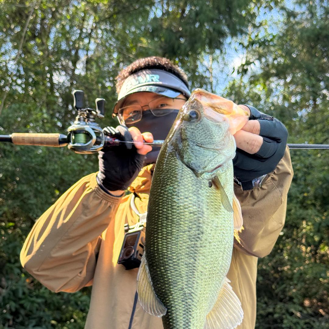 (˶‾᷄ ⁻̫ ‾᷅˵)标点质检员