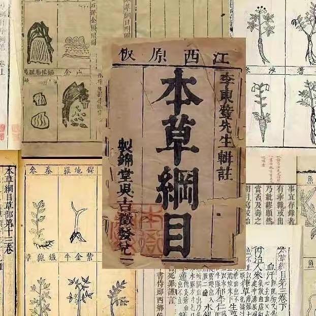 传统养生教育