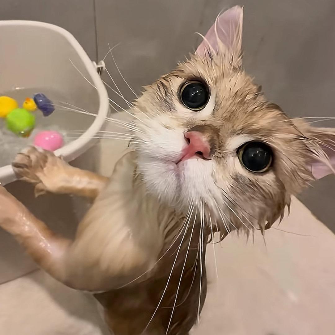 ʚ绵绵ɞ⁰³¹⁷