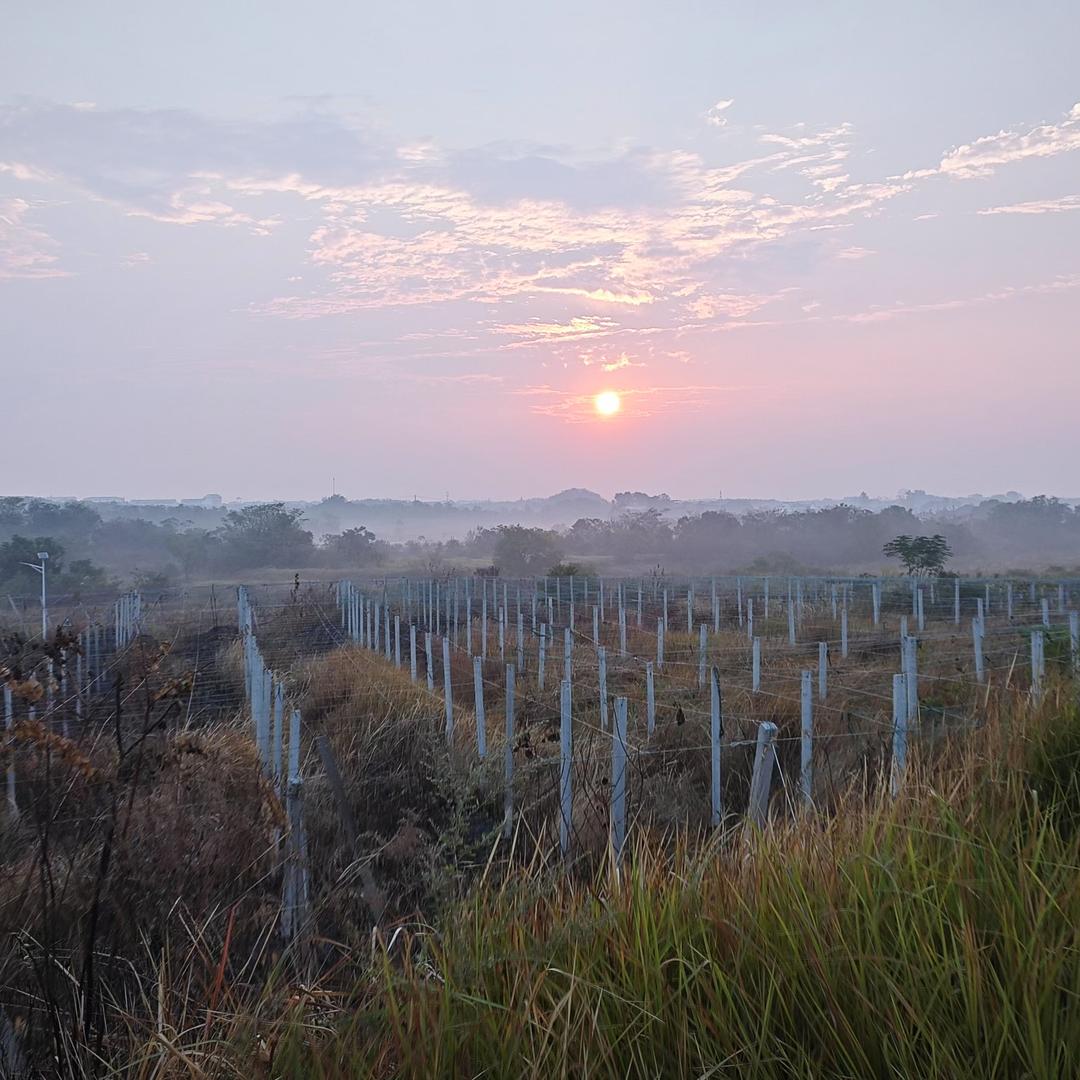 浪阁鲜农场生活