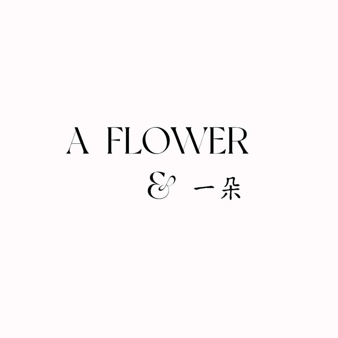 a flower&一朵（石家庄）