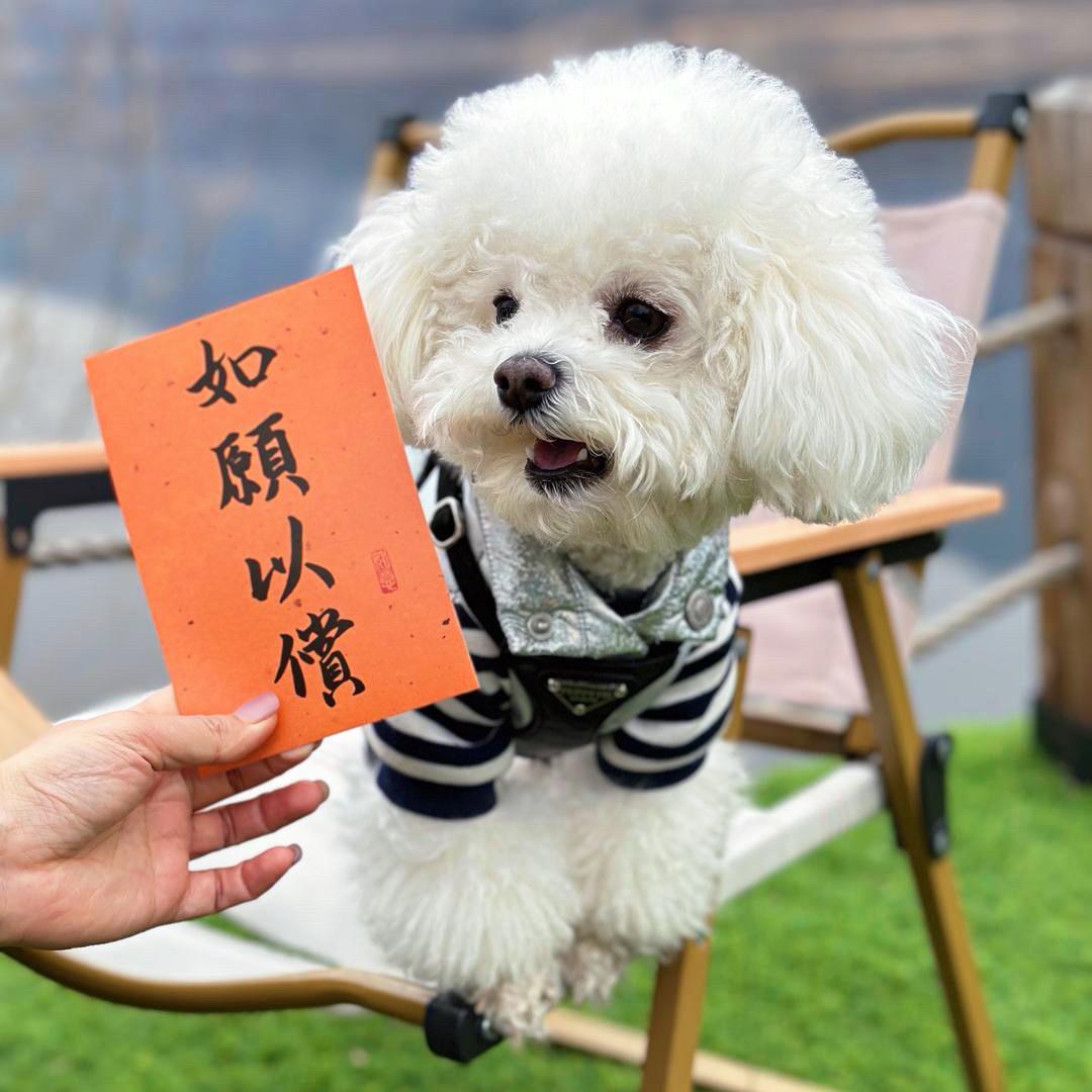 唔哩桃子。