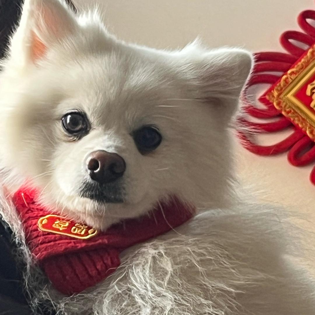 万万直播