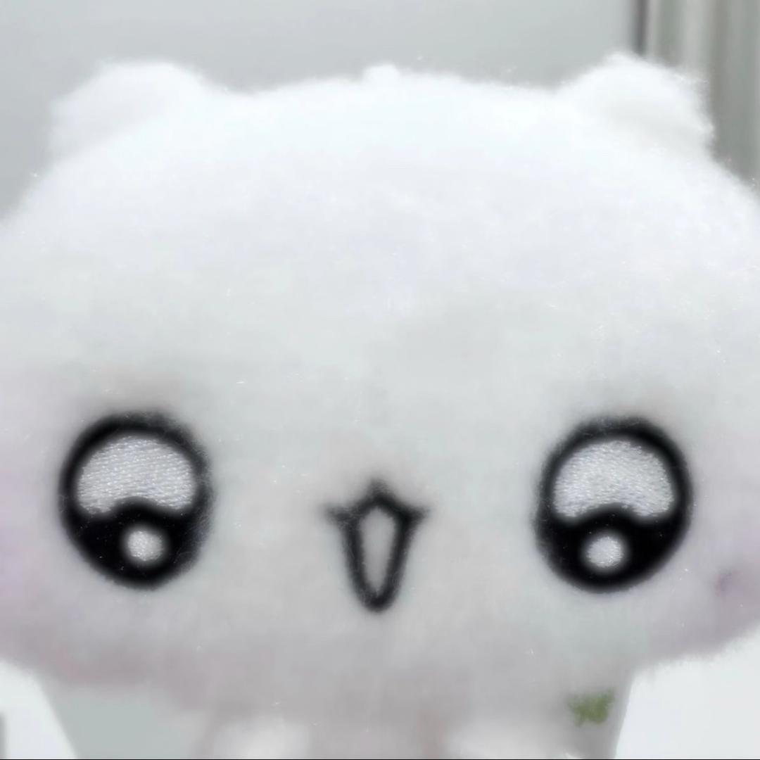 牙牙iii