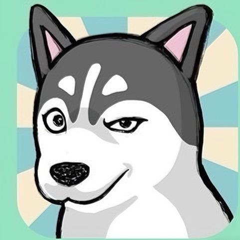 二小哈到处玩✈️