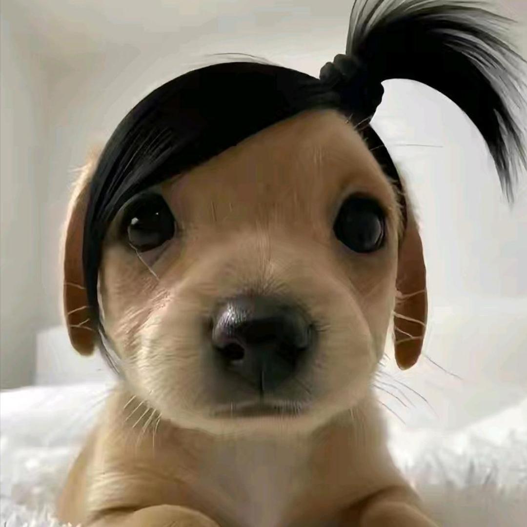 我讨厌有钱人