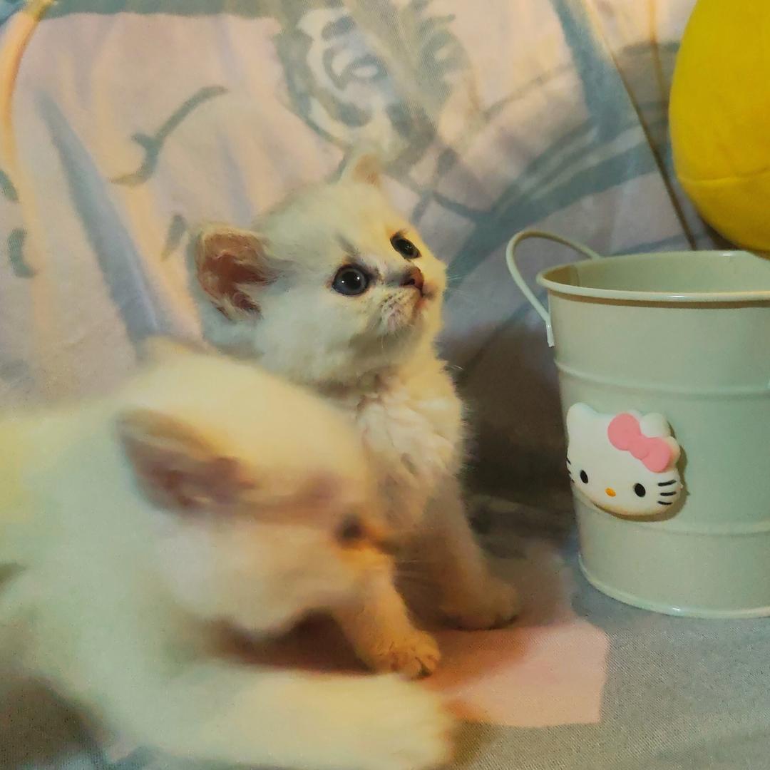 衫奈漫漫