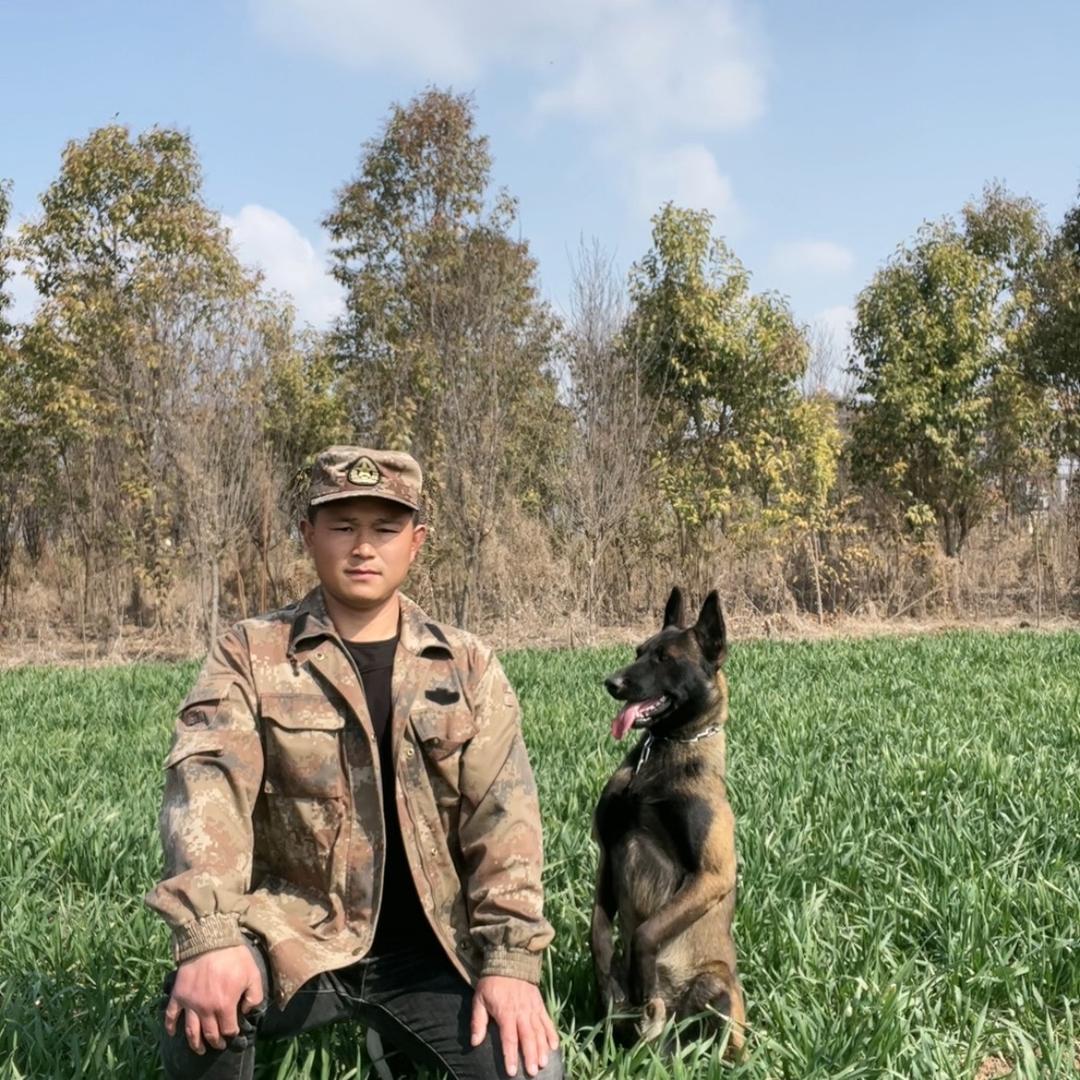 超哥驯养犬（接外训）