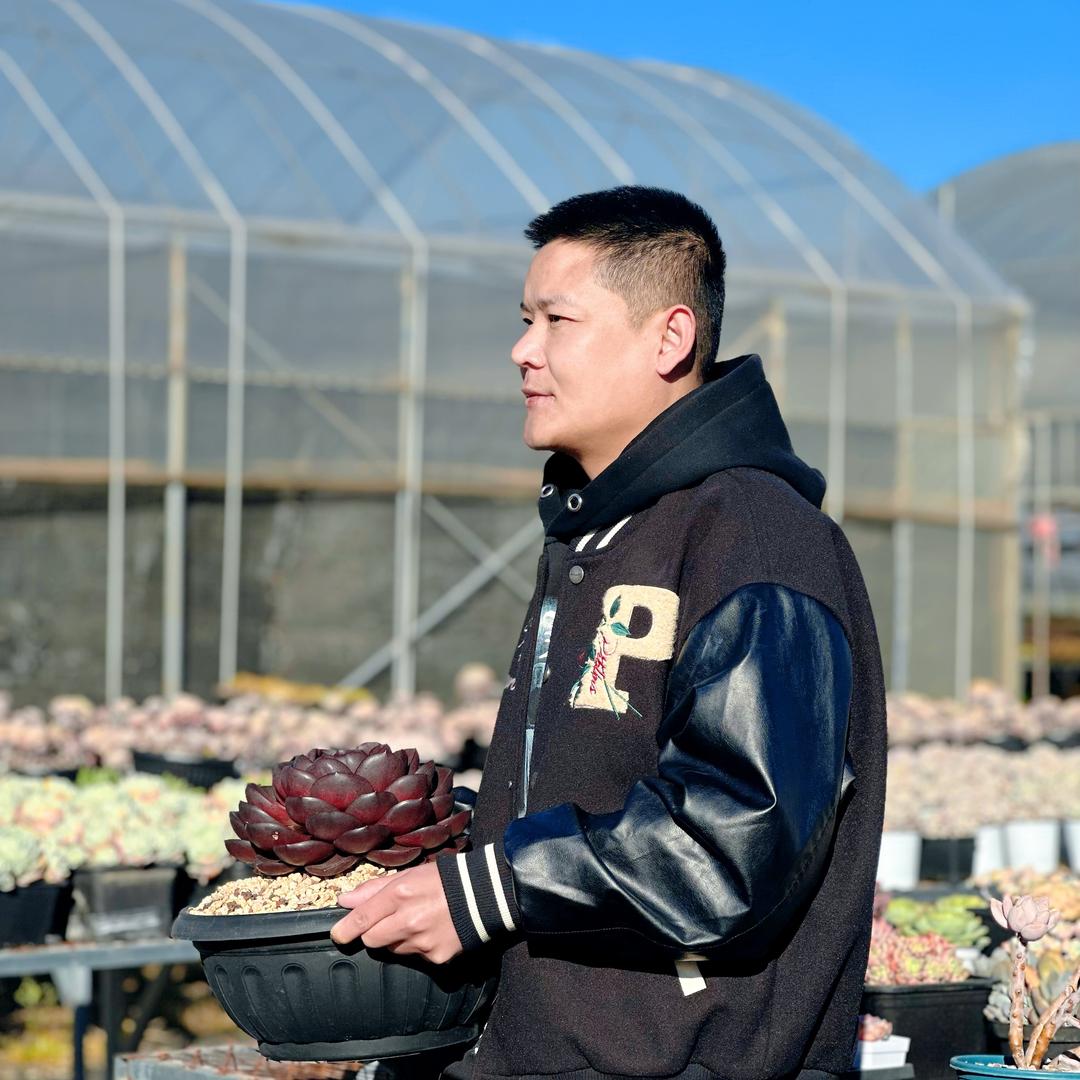 强子精品多肉