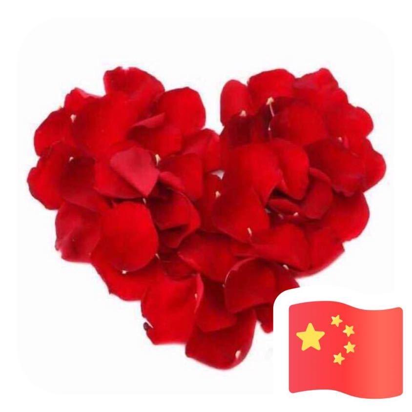 @🌈幸福节奏