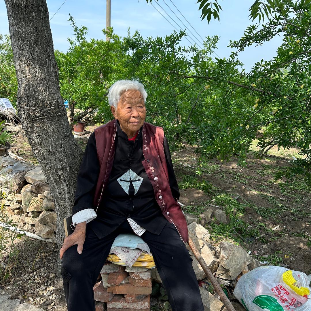 我和我的外婆（还有三只猫）