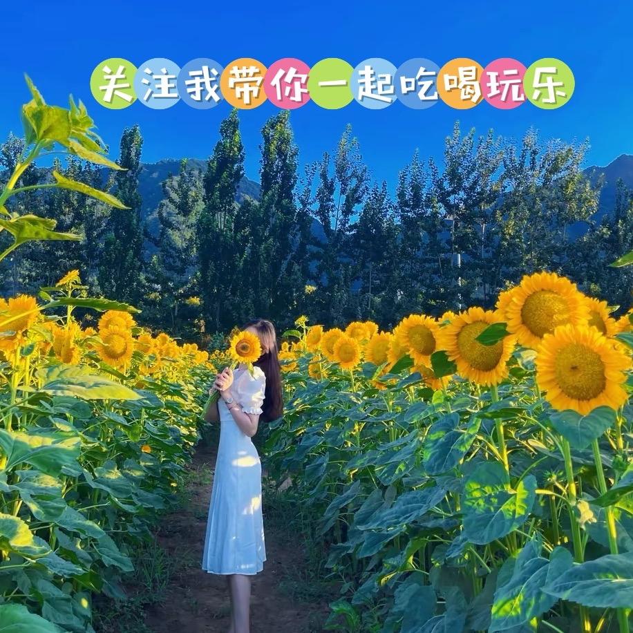 在路上（橱窗好物）