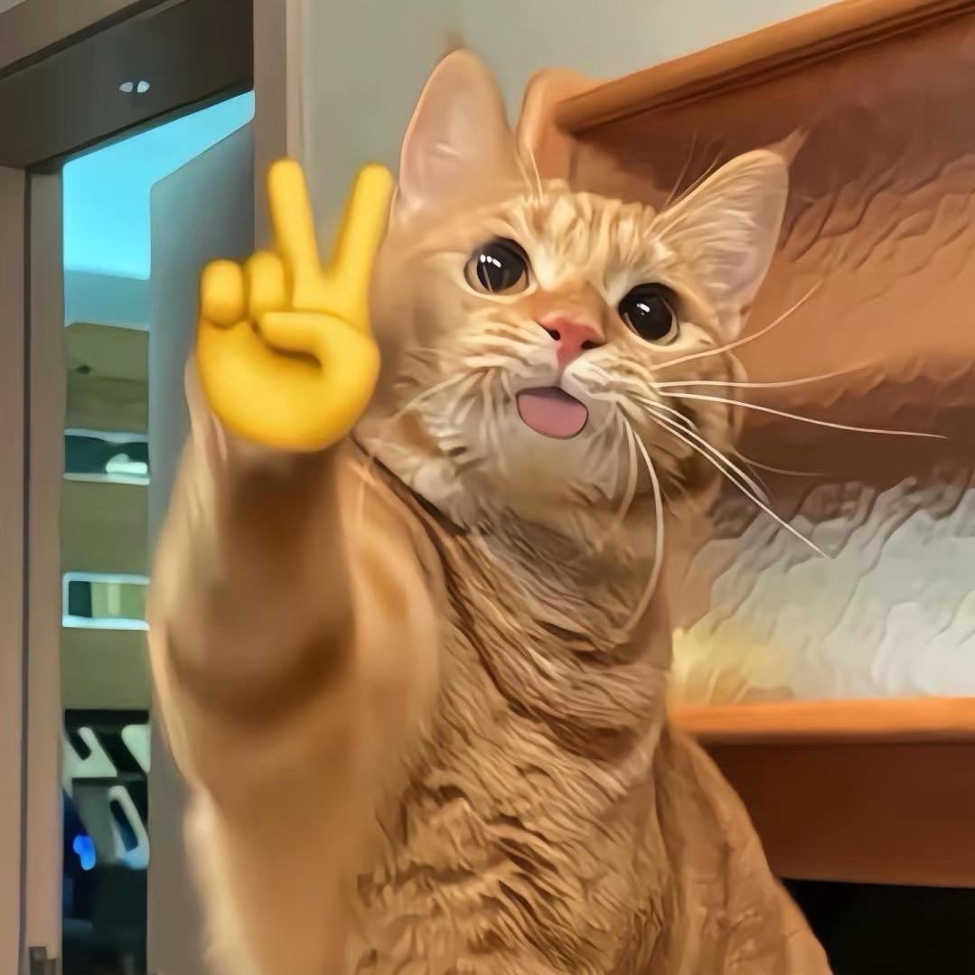 洋🐑(三角洲行动）