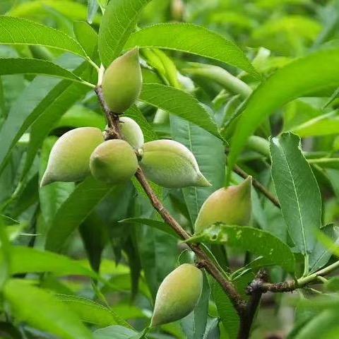 zjh华💅💅💅💄（拒绝私聊）