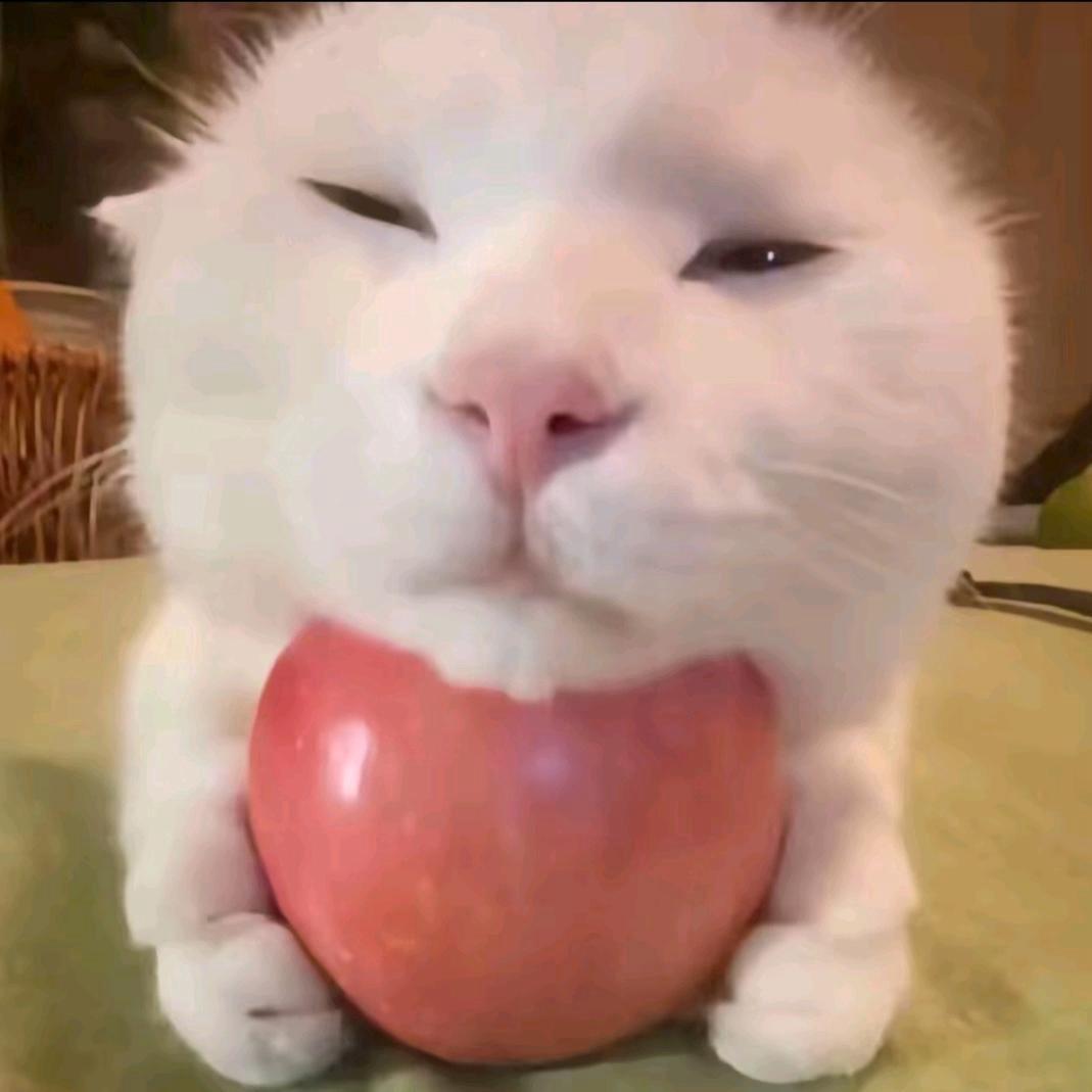 我也有个同学叫CC