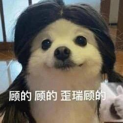 奶茶🧋🍀会和兮兮一直见面