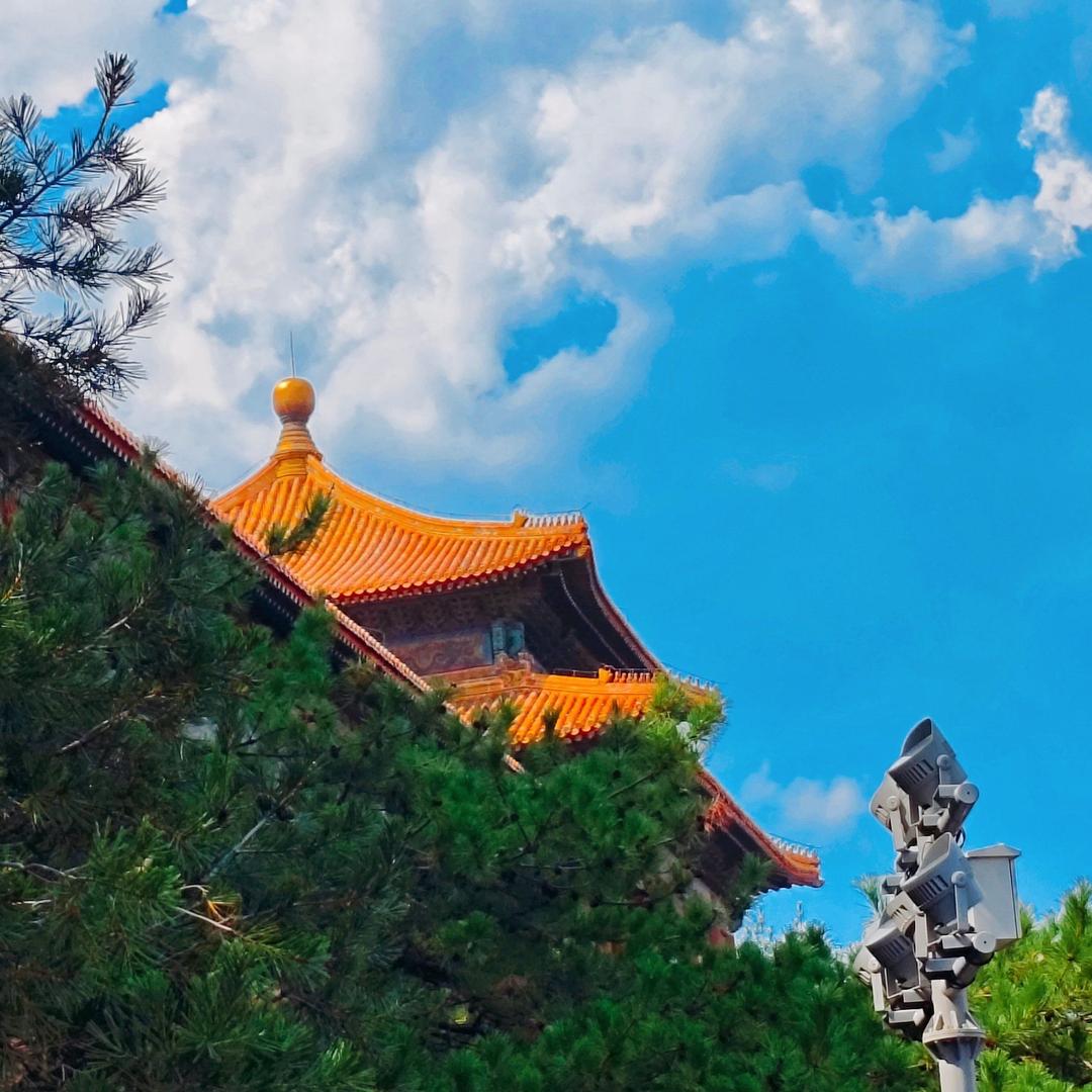 清鹿老师