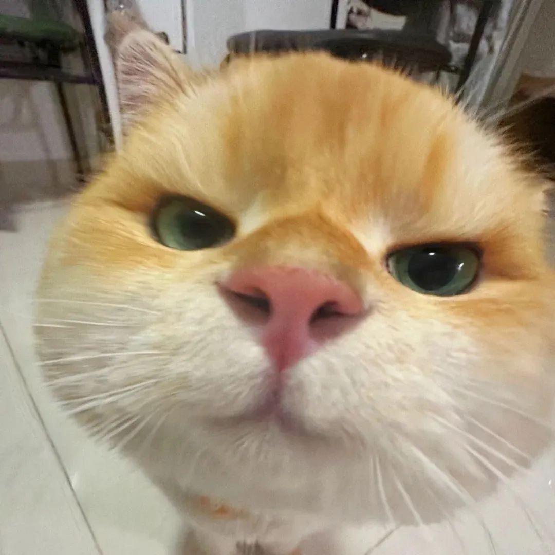 和你