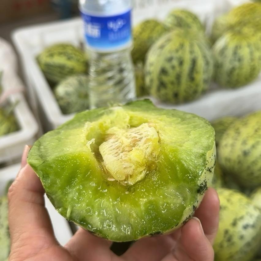 JCzhongmiao