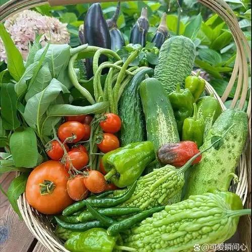 冯哥食品小铺