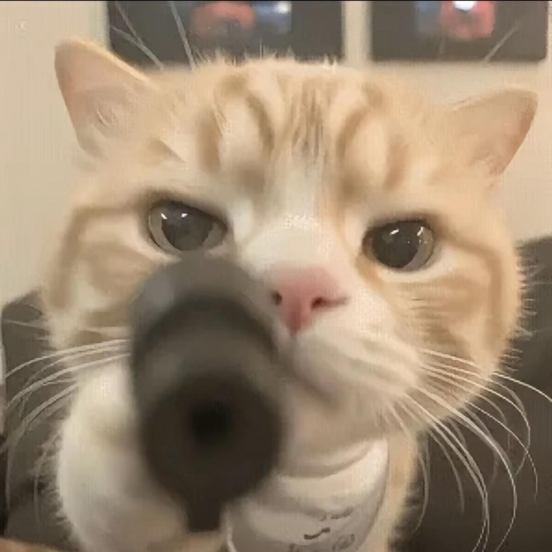 ……………