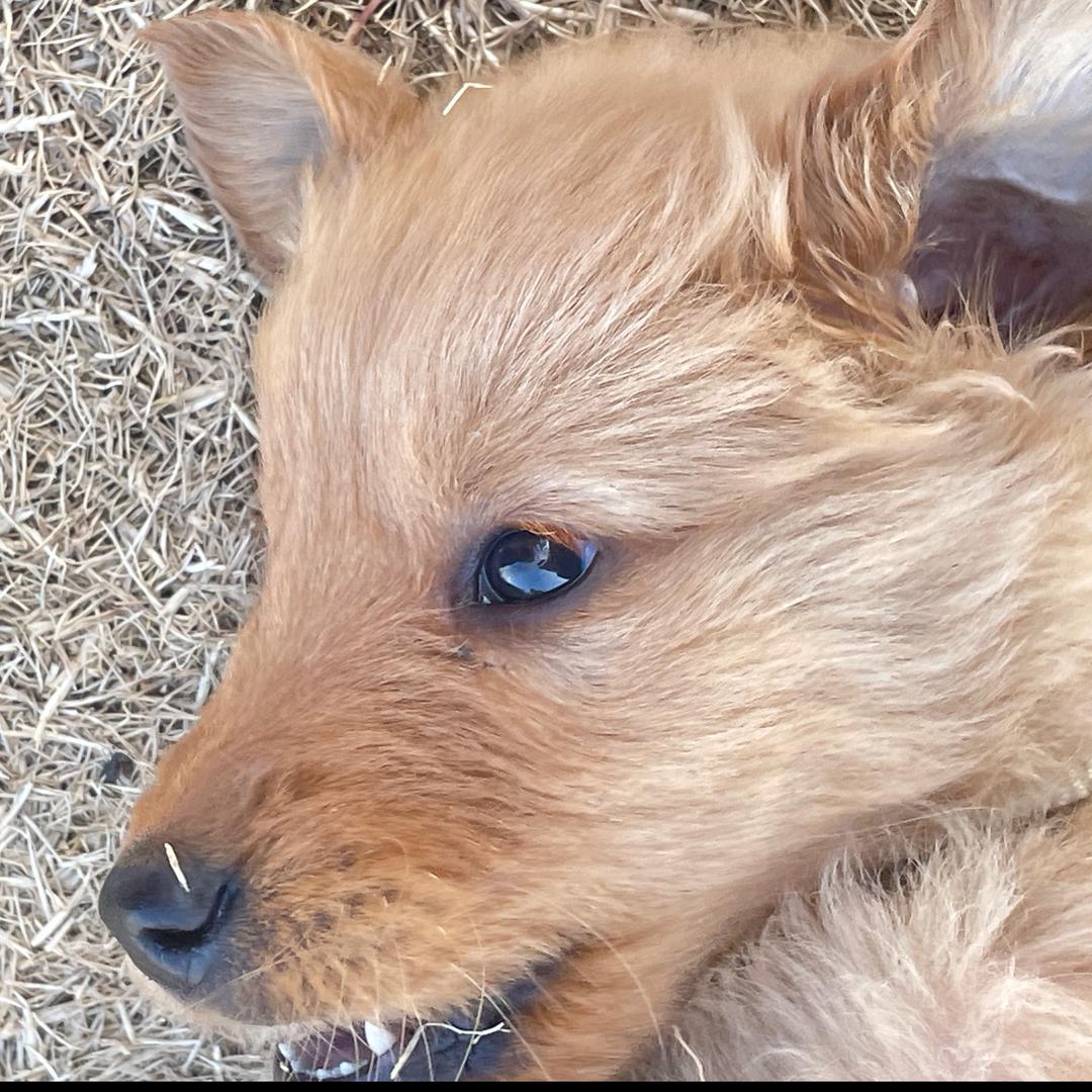 老公跟他老婆出走留下我这个小三的那个雨夜