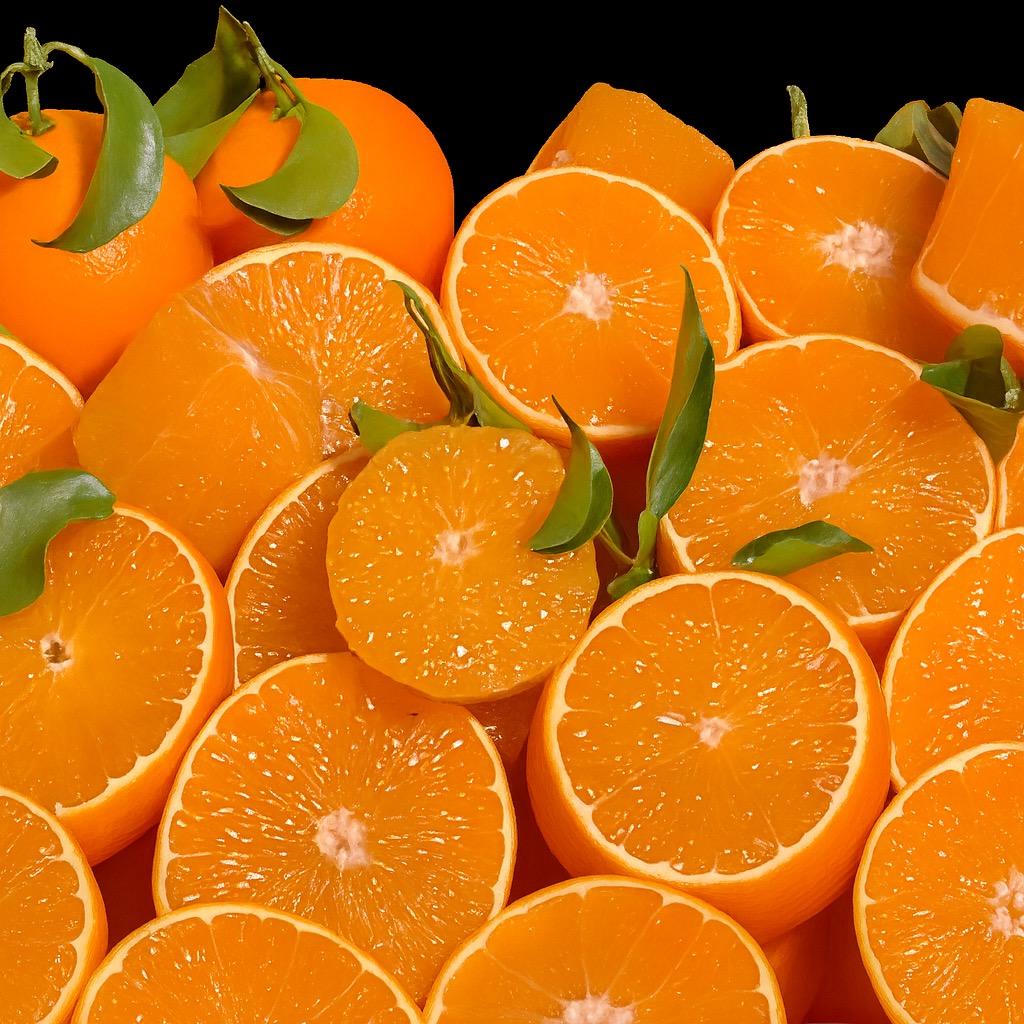 广州瑜蜻玩具臻选阁