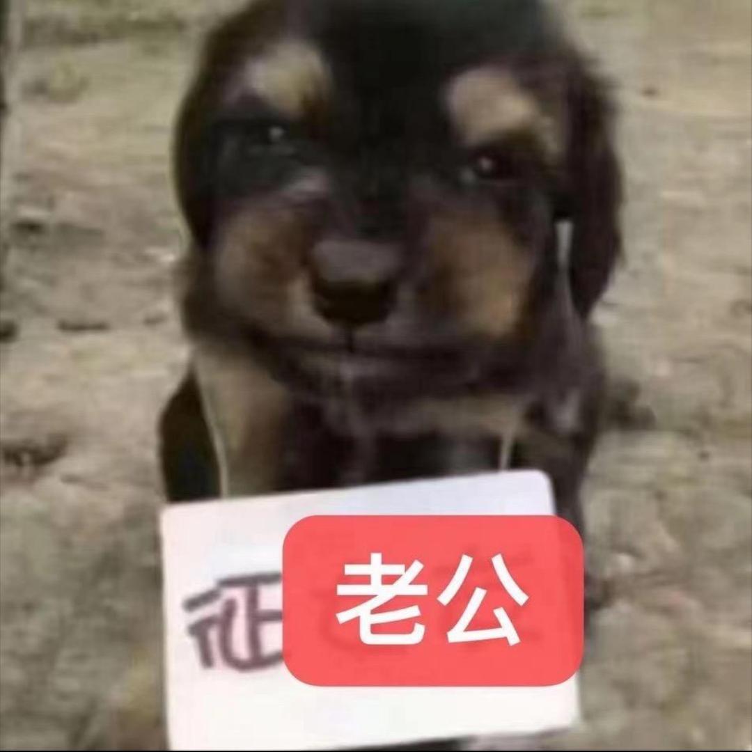 灰原哀