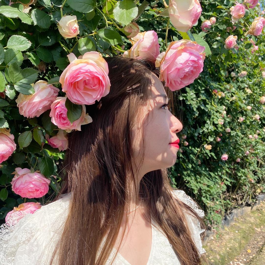 🌼Wayward🍃