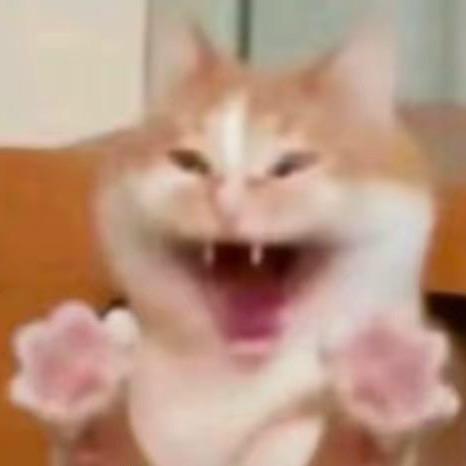 钢筋混凝土拌意大利面