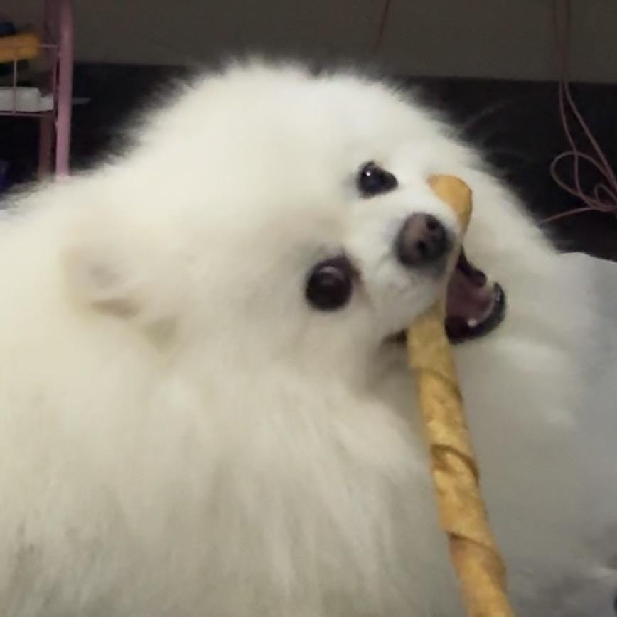 王铁丸成长日记