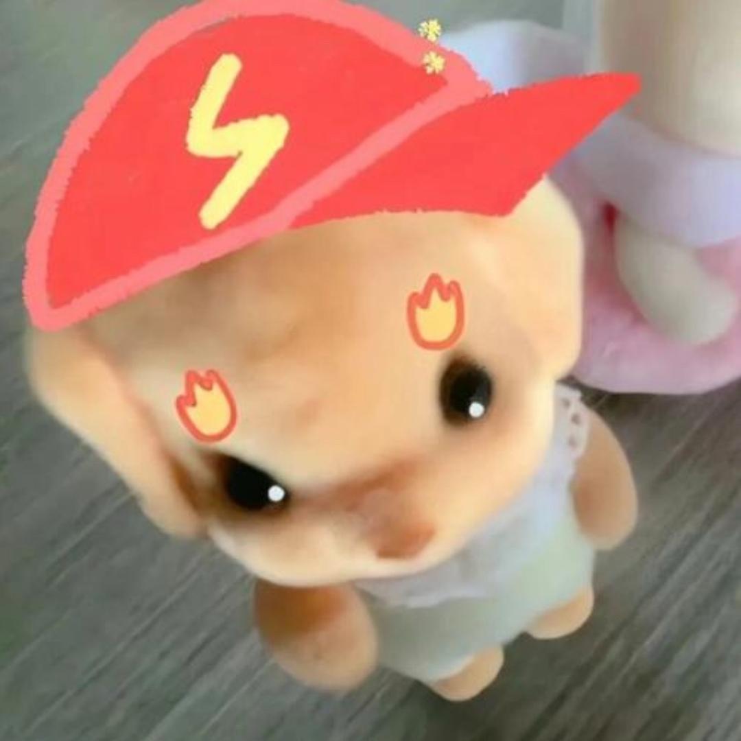 我们是续集